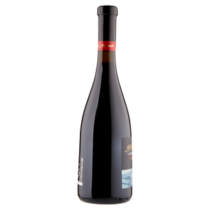 Vino Rosso Frizzante Lambrusco Di Modena Abboccato Doc Il Baluardo - Foto 2