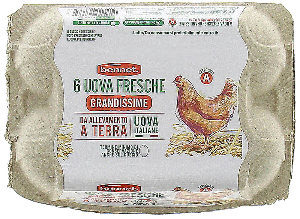6 Uova Grandissime Da Allevamento A Terra Bennet - Foto 1