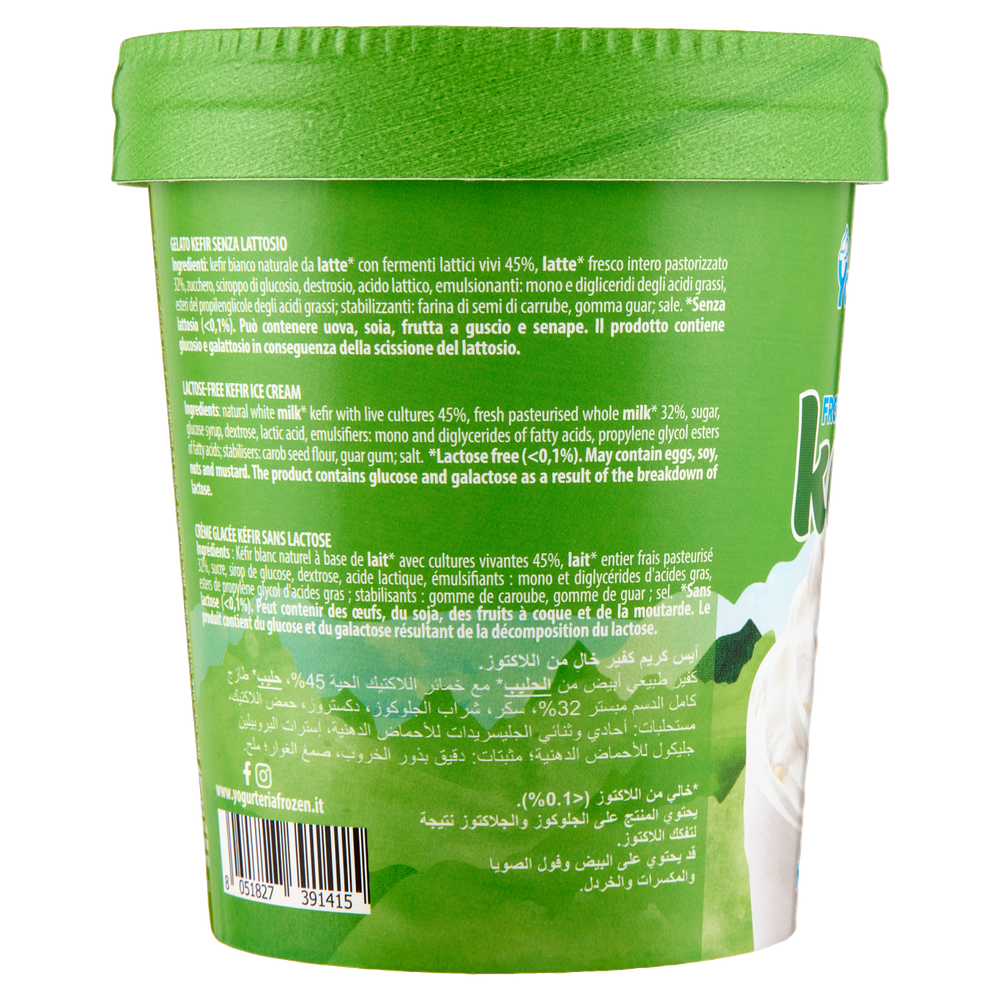 Gelato Yogurt Kefir Bianco Senza Lattosio Yogurteria Frozen - Foto 2