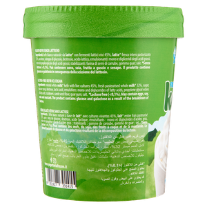 Gelato Yogurt Kefir Bianco Senza Lattosio Yogurteria Frozen - Foto 2