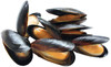 Cozze Filiera Valore Bennet