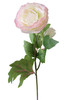 T3*RANUNCOLO ROSA - Foto 1 di 1
