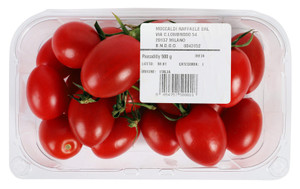 Pomodoro Piccadilly In Vaschetta - Foto 2
