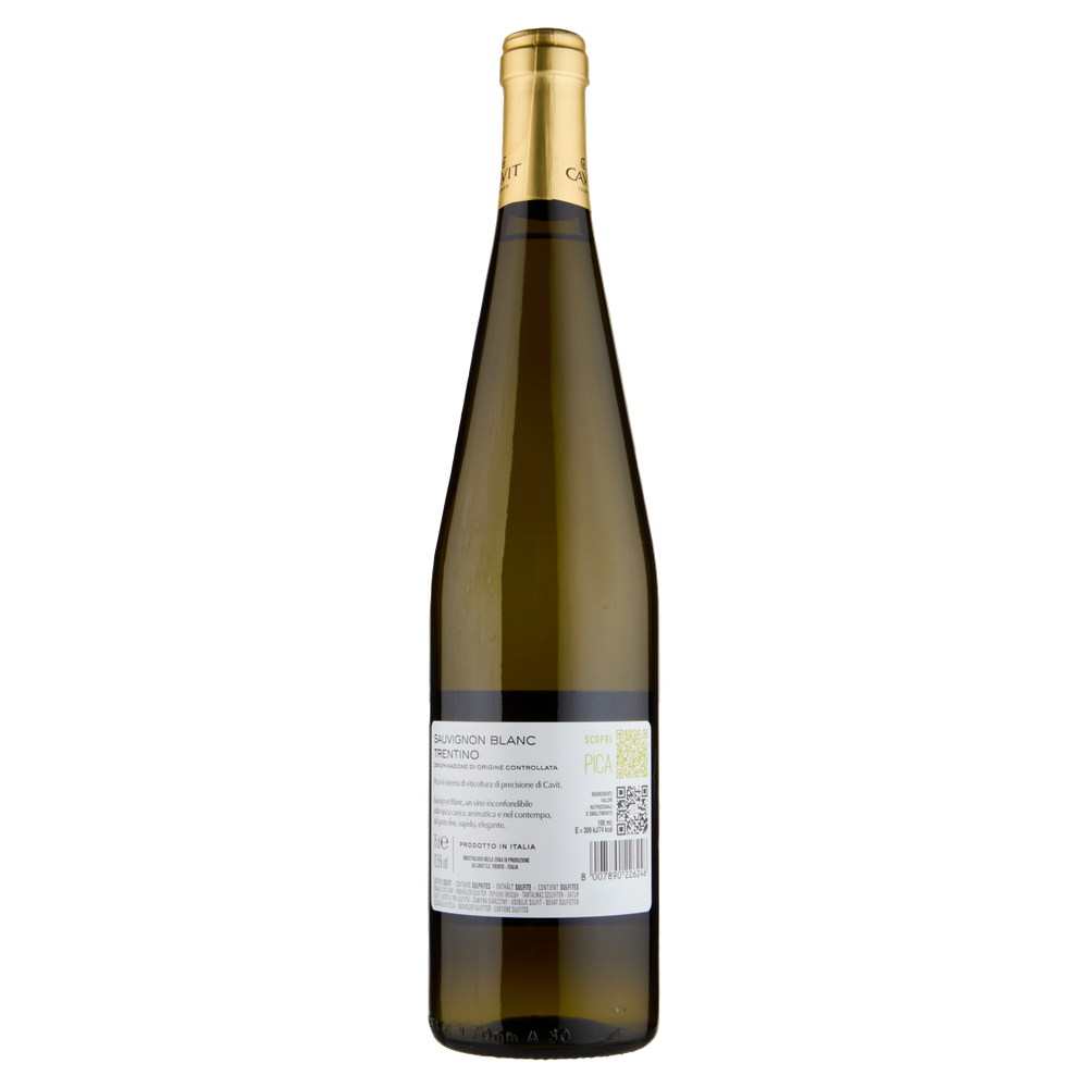 Sauvignon Blanc Mastri Vernacoli Cavit - Foto 3