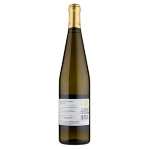Sauvignon Blanc Mastri Vernacoli Cavit - Foto 3