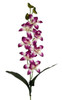 T2*ORCHIDEA ROSA - Foto 1 di 1