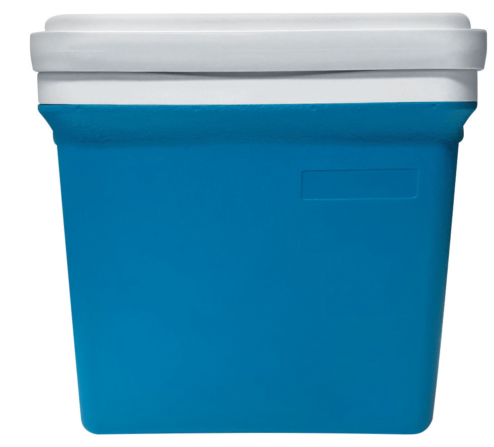 Box Frigo Capacita' Lt 25 - Foto 1