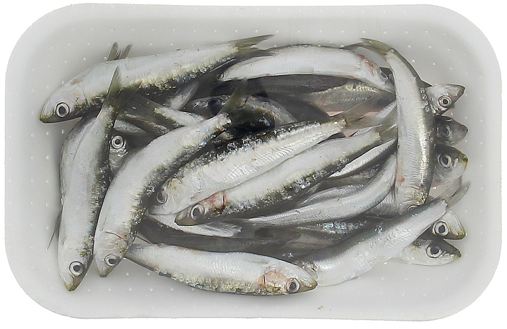 Sardina - Foto 2