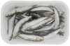 148 SARDINA - Foto 2 di 3