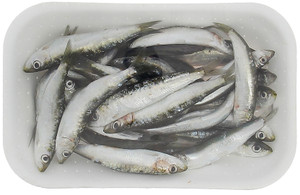 Sardina - Foto 2