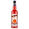 ART SPRITZ GI.BO. - Foto 1 di 3