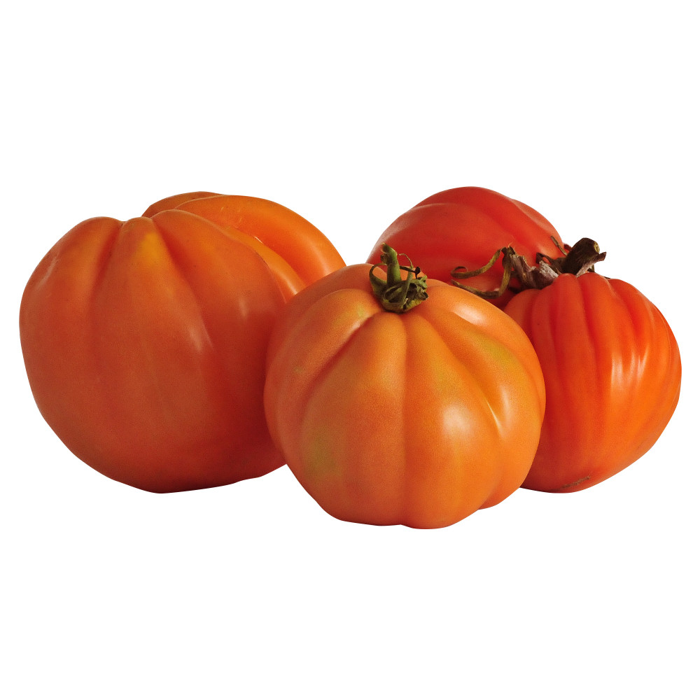 Pomodoro Cuore Di Bue - Foto 1