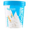 Gelato Yogurt Naturale Senza Lattosio Yogurteria Frozen