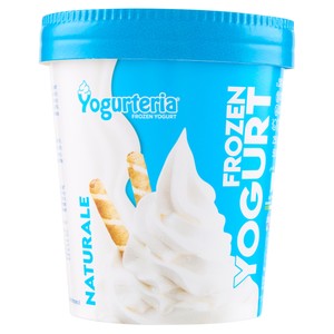 Gelato Yogurt Naturale Senza Lattosio Yogurteria Frozen - Foto 1