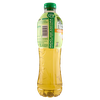 The Mango Fuzetea