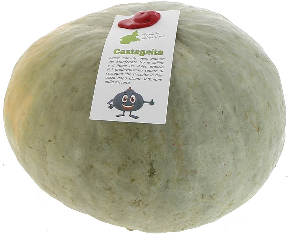 Zucca Castagna - Foto 1