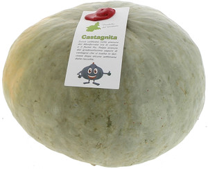 Zucca Castagna - Foto 1