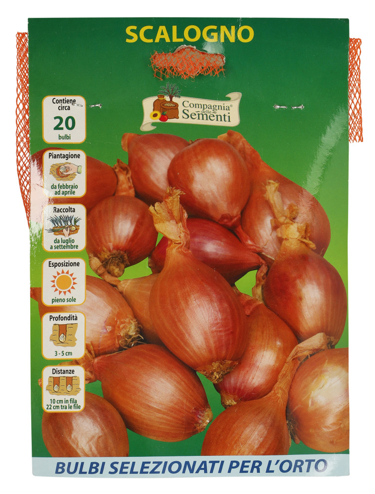 20 Bulbi Scalogno Rosso - Foto 1