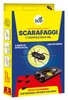 Sdd Esca Scarafaggi Trappole Gel Pz.3