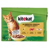 Kitekat Simpatica Canaglia 12x85g