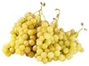 Uva Da Tavola Di Mazzarrone I.G.P.
