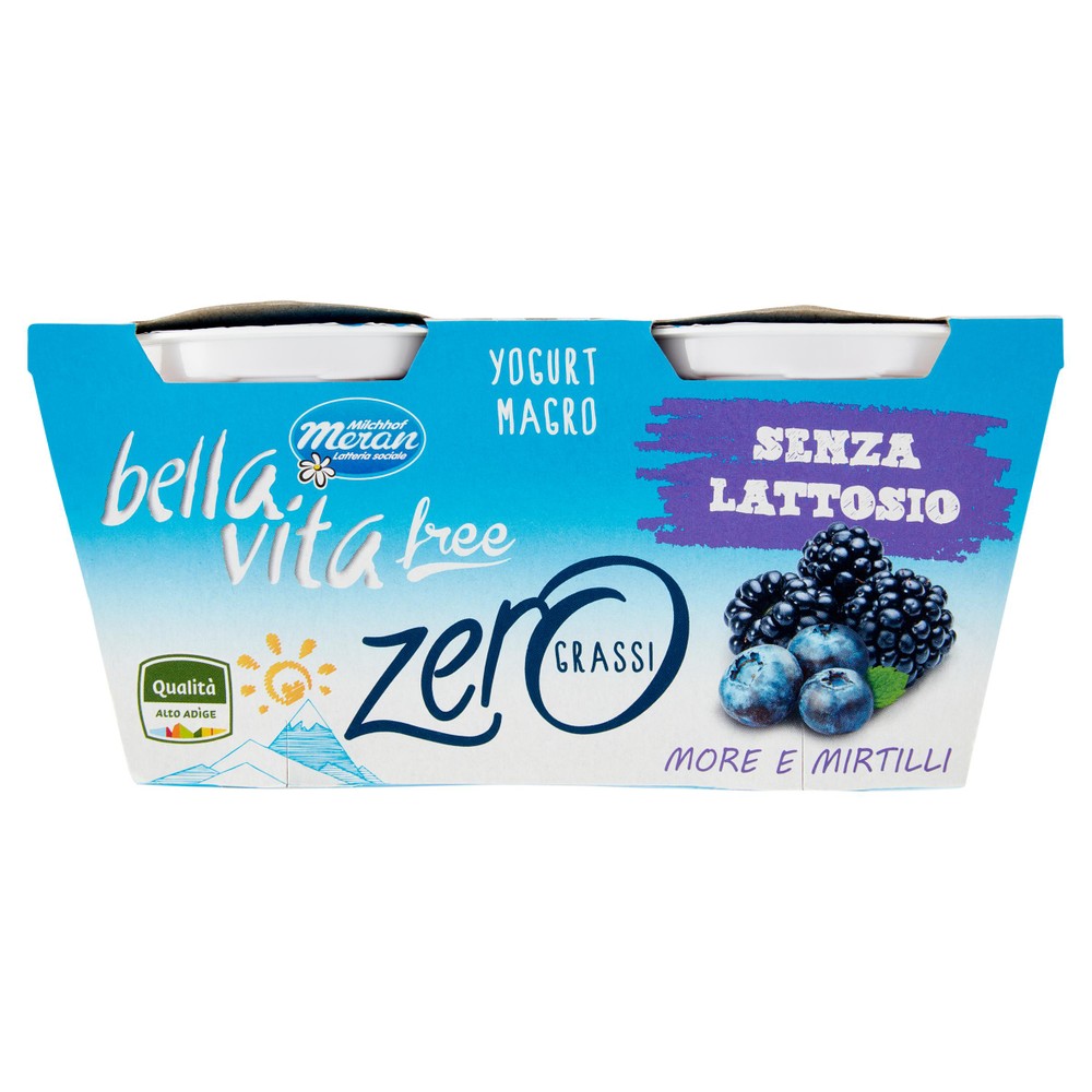 Yogurt More E Mirtilli Magro Bellavita - Foto 1
