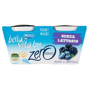 Yogurt More E Mirtilli Magro Bellavita Merano 2 Da Gr.125
