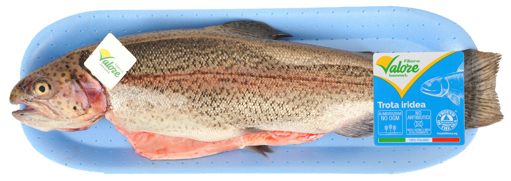 Trota Iridea Salmonata Eviscerata Filiera Valore Bennet - Foto 2