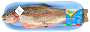 Trota Iridea Salmonata Eviscerata Filiera Valore Bennet - Foto 2