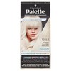 12.53 PAL.MET.PLATINUM - Foto 1 di 3