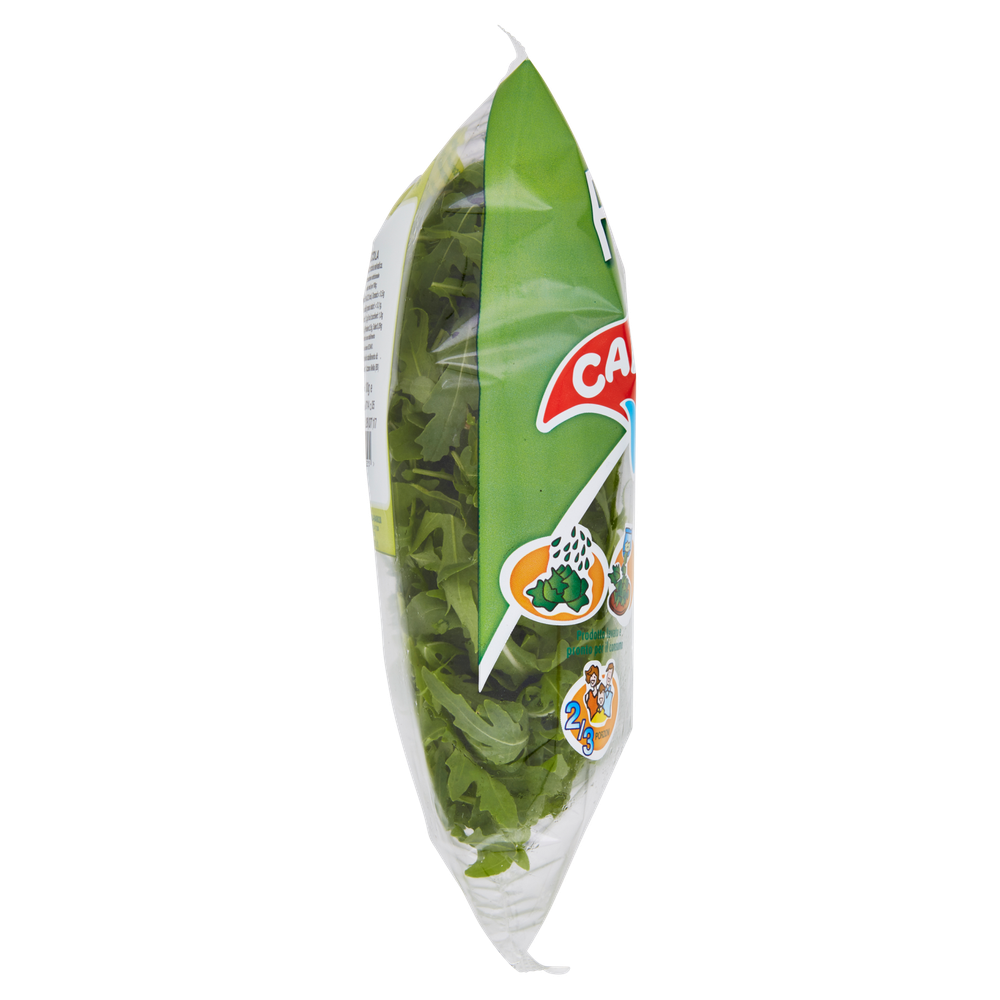 Rucola - Foto 2