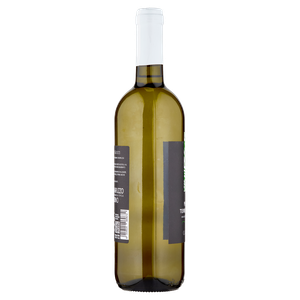 Pecorino Igt Terre D'abruzzo Ca' Dei Giusti - Foto 2
