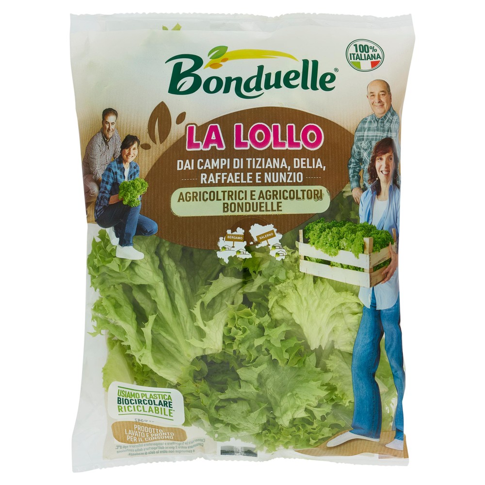 Insalata Lollo Busta Bonduelle - Foto 1
