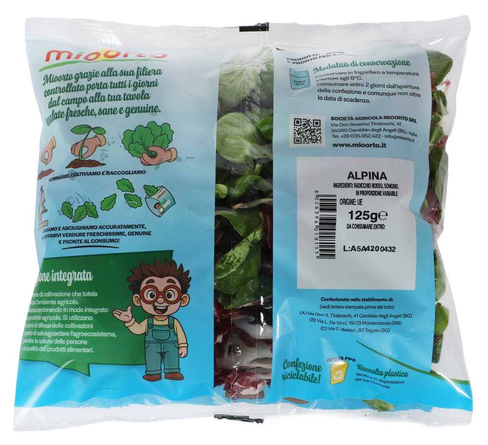 Insalata Alpina Busta - Foto 2
