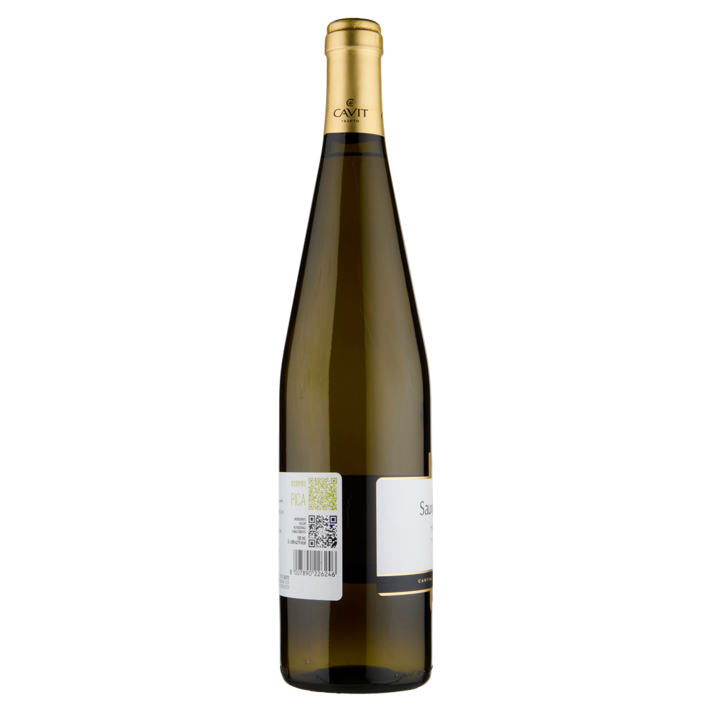 Sauvignon Blanc Mastri Vernacoli Cavit - Foto 2