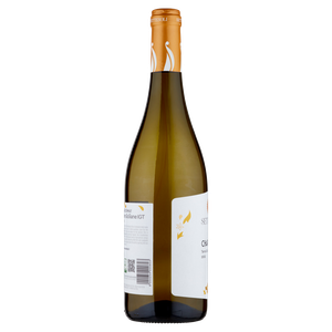 Chardonnay Sicilia Igt Settesoli - Foto 2
