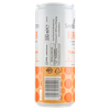 Bevanda Gusto Pesca Flavour San Benedetto