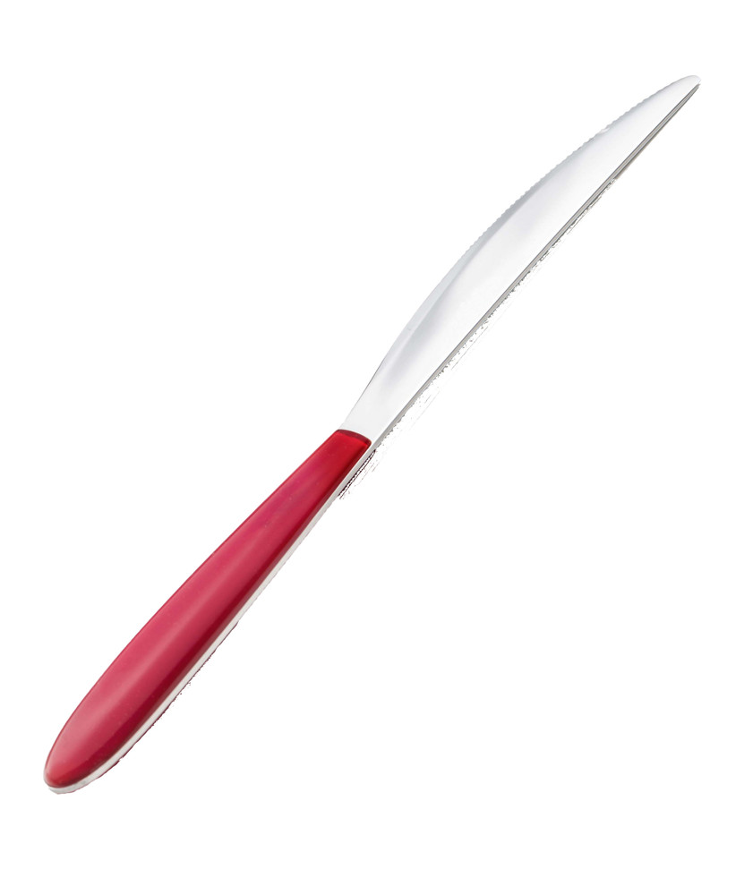 Coltello Nilu' Inoxriv - Foto 1