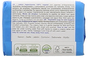 Sapone Igienizzante Vegetale Iterbe - Foto 2