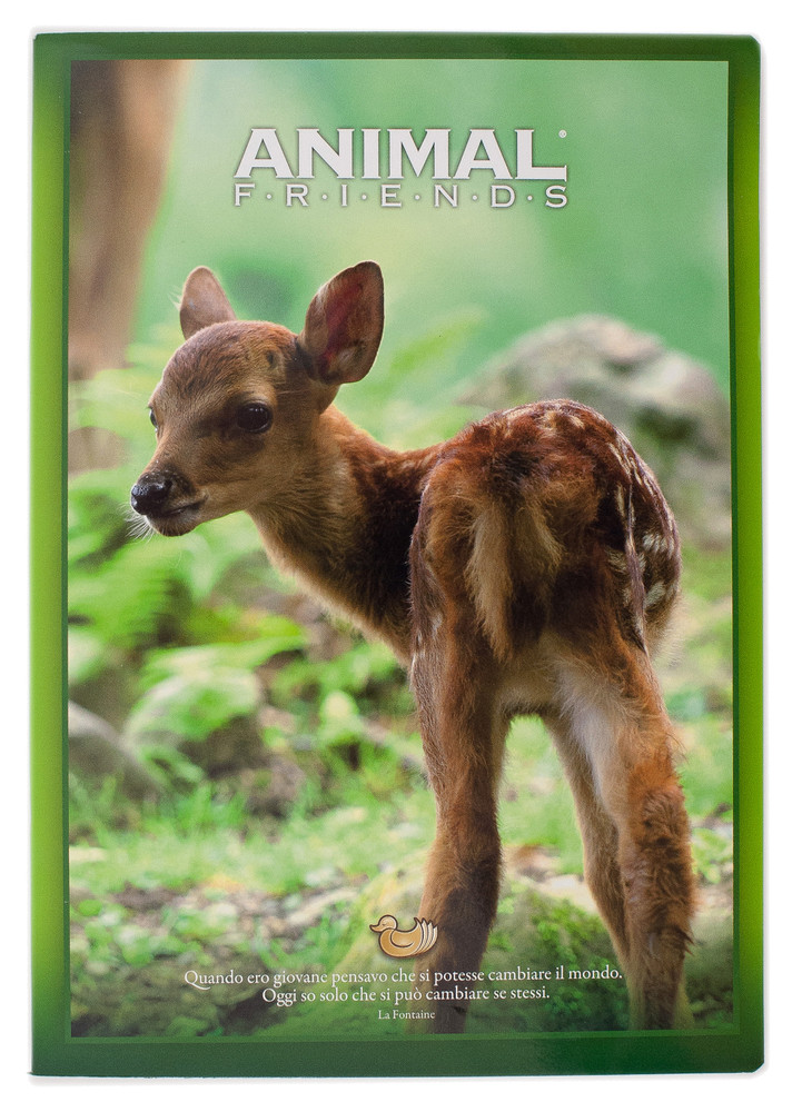 Quaderno Maxi Animal Friends - Foto 1