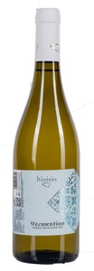 Vino Bianco Vermentino Igp Kinisia Cantine Birgi - Foto 1