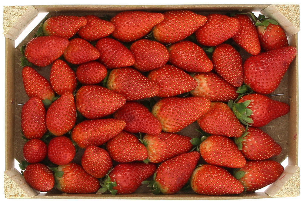 Fragole In Bauletto - Foto 1