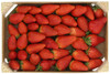 FRAGOLE KG1 BAULETTO* - Foto 1 di 2