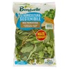 INSALATA MIX PRIMAVERA - Foto 1 di 3