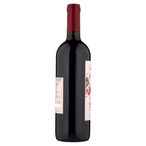Bonarda Colli Piacentini Amabile Cantine Bacchini - Foto 2