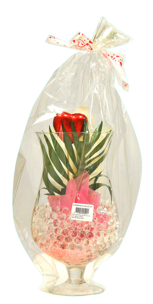 Cymbipack Calice - Foto 2