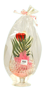 Cymbipack Calice - Foto 2