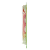 Prosciutto Crudo Fresca Salumeria Italiana Beretta