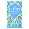 Tisana Feel New Inner Beauty Anice, Finocchio E Cardamomo 20x2g Pukka