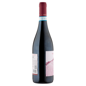 Valpolicella Ripasso Superiore Campobrun - Foto 2